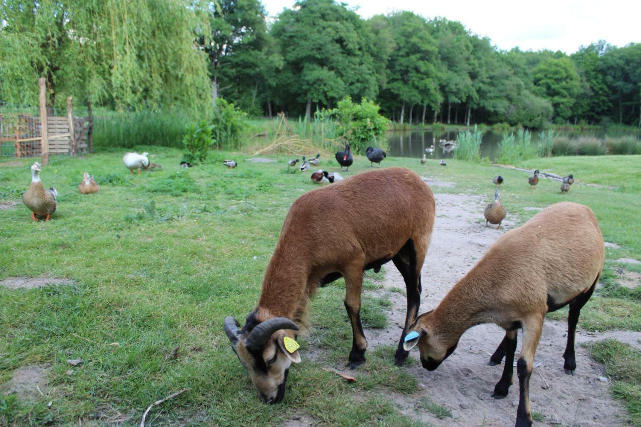 Ferme Des Poulardieres Crouy-sur-Cosson Esterno foto