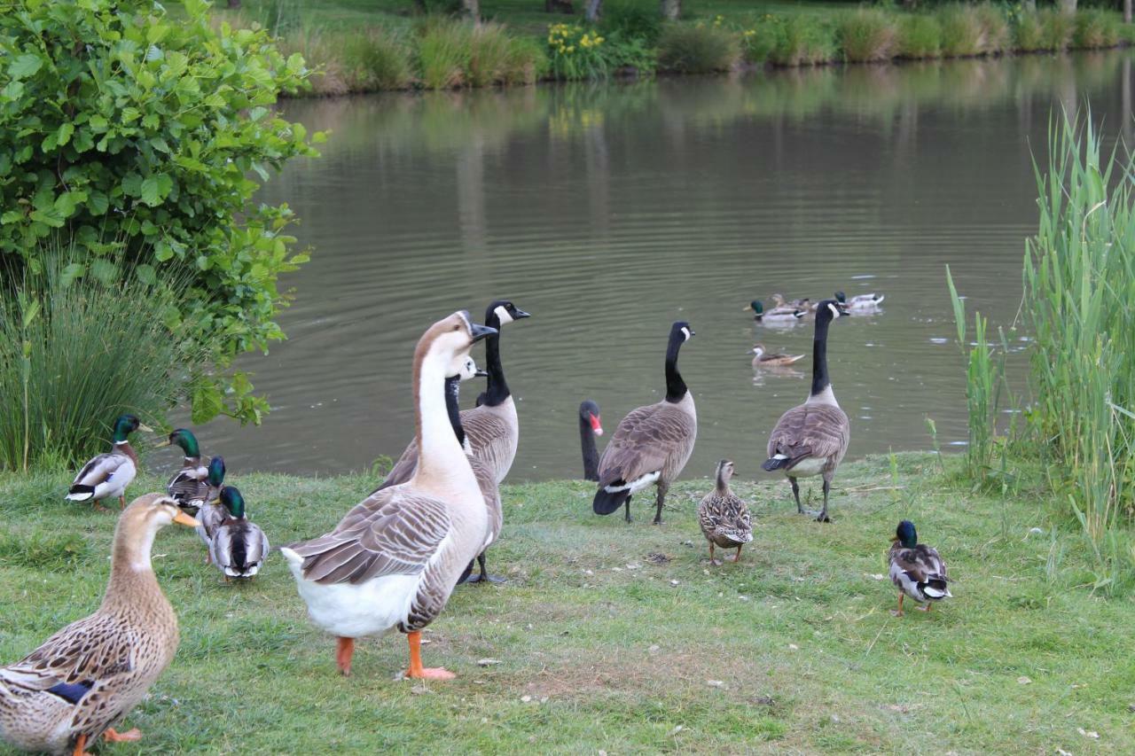 Ferme Des Poulardieres Crouy-sur-Cosson Esterno foto